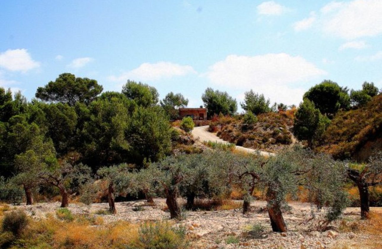 Resale - Villa - Gea Y Truyols