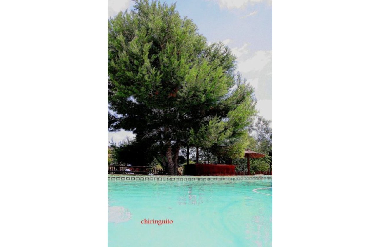 Resale - Villa - Gea Y Truyols