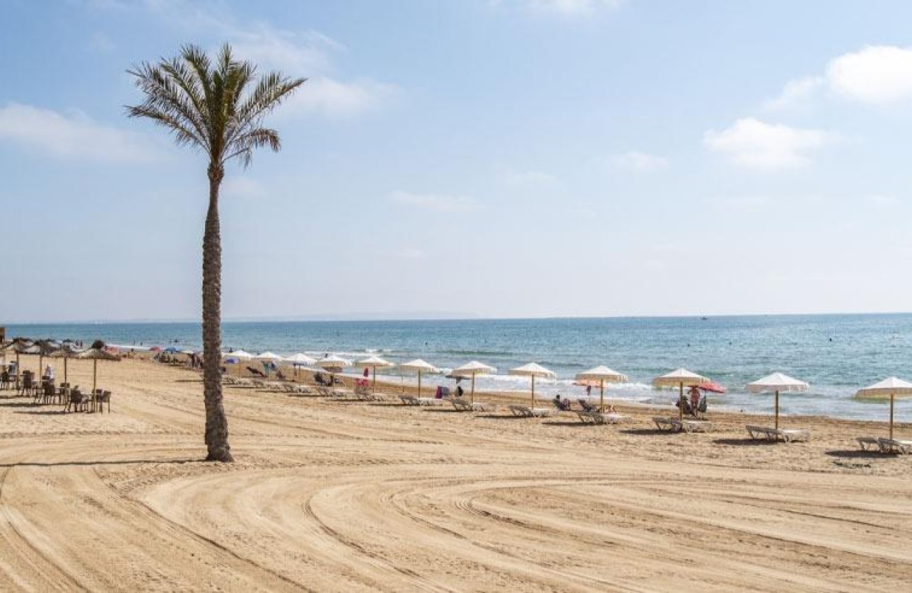 Obra nueva - Ático - Guardamar del Segura - Pueblo