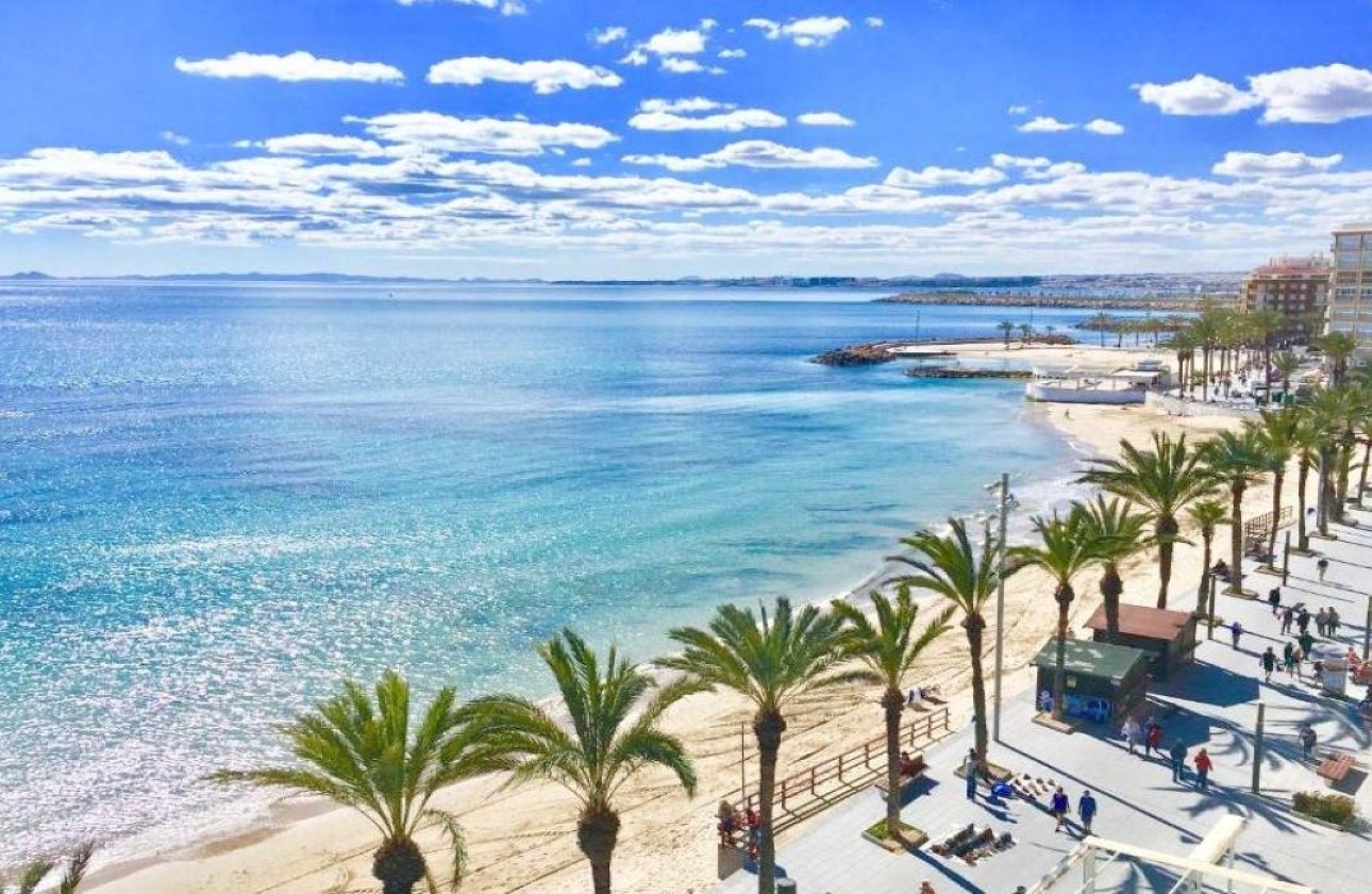 Obra nueva - Bungalow - Torrevieja - Lago Jardín II