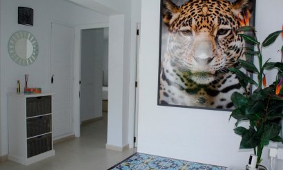 Reventa - Villa - Orihuela Costa - Villamartín