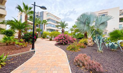 Resale - Apartment / flat - Orihuela Costa - Villamartín