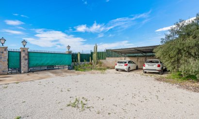 Revente - Villa - Elche - Elche/Elx