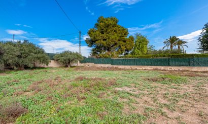 Revente - Villa - Elche - Elche/Elx