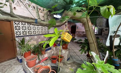 Revente - Appartement - Benejúzar