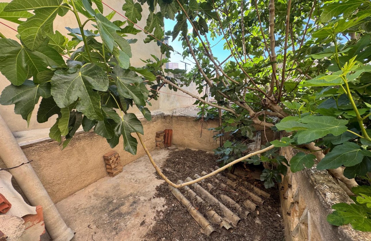 Revente - Appartement - Benejúzar