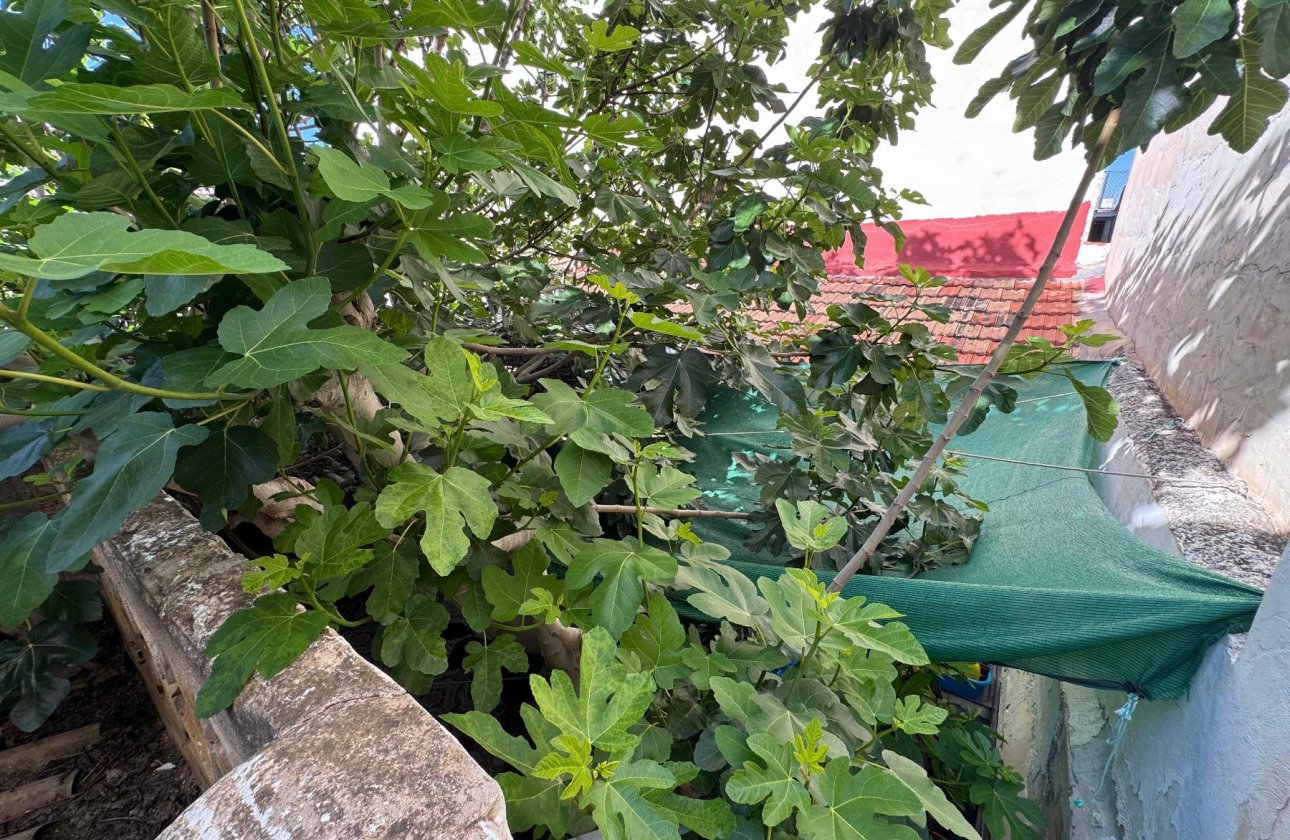 Revente - Appartement - Benejúzar