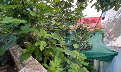 Revente - Appartement - Benejúzar