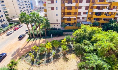 Reventa - Apartamento / piso - Punta Prima