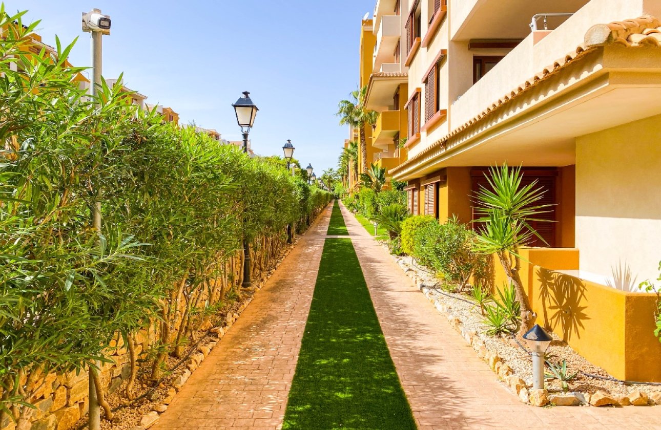 Reventa - Apartamento / piso - Punta Prima