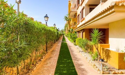 Reventa - Apartamento / piso - Punta Prima