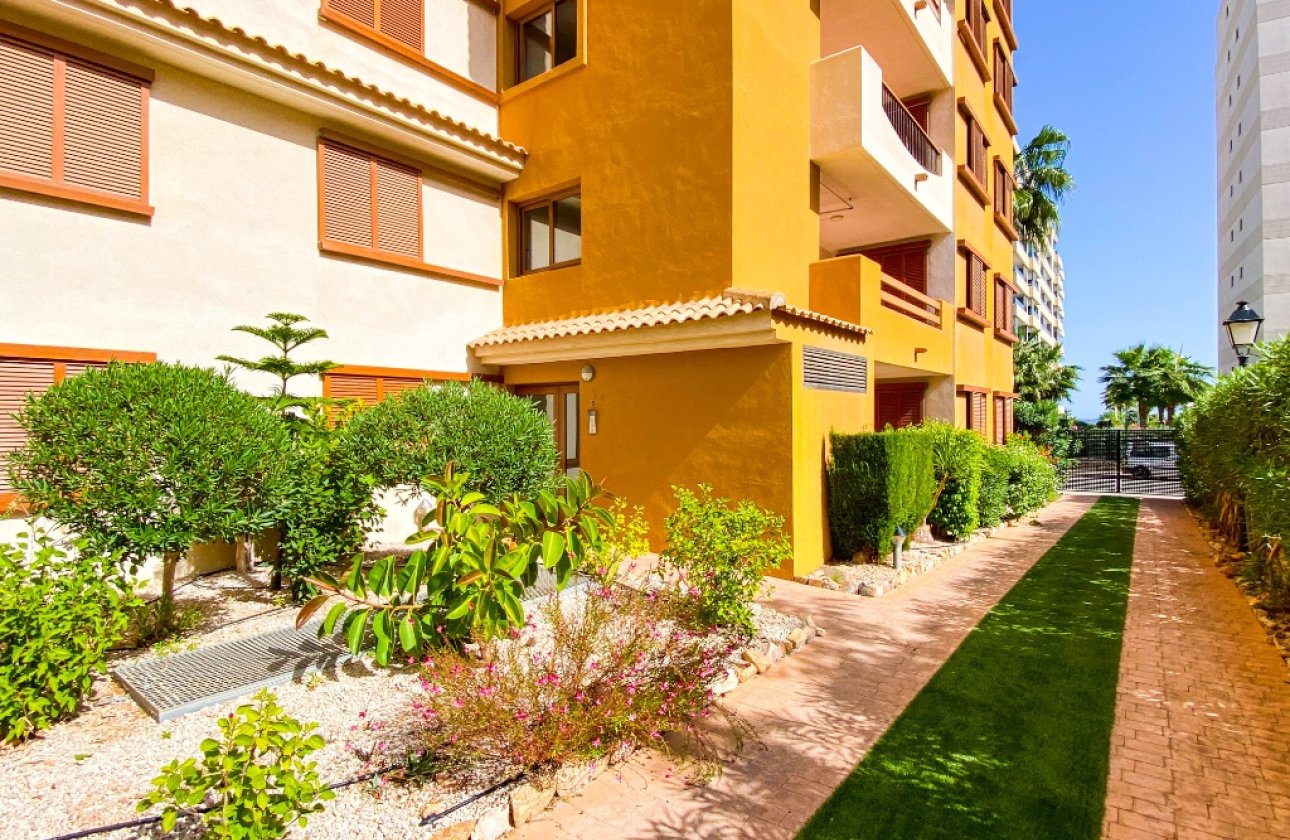 Reventa - Apartamento / piso - Punta Prima