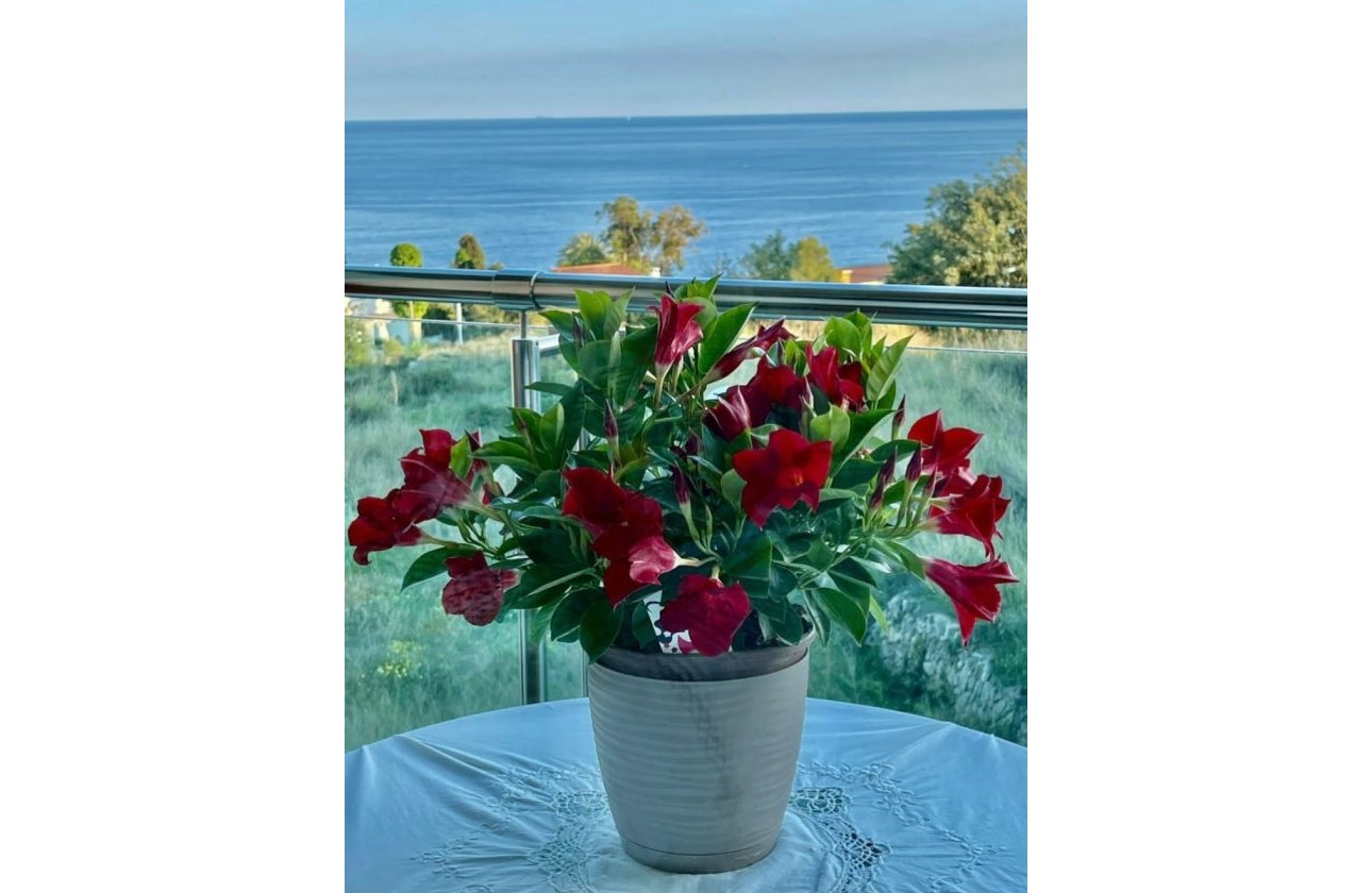 Resale - Apartment / flat - Calpe