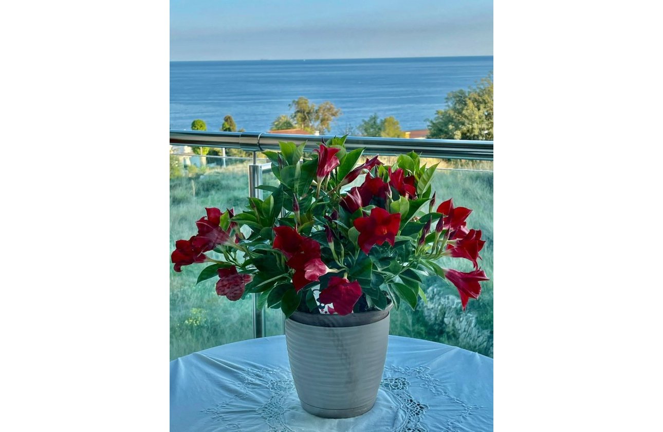 Resale - Apartment / flat - Calpe