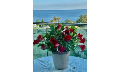 Resale - Apartment / flat - Calpe