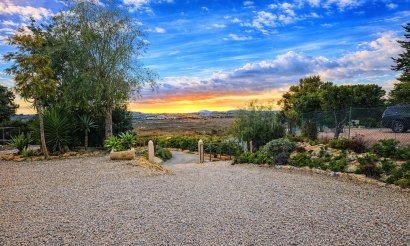 Revente - Villa - Torremendo