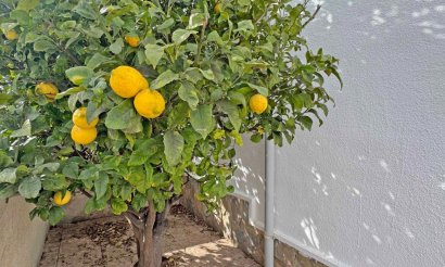 Resale - Townhouse - San Miguel de Salinas