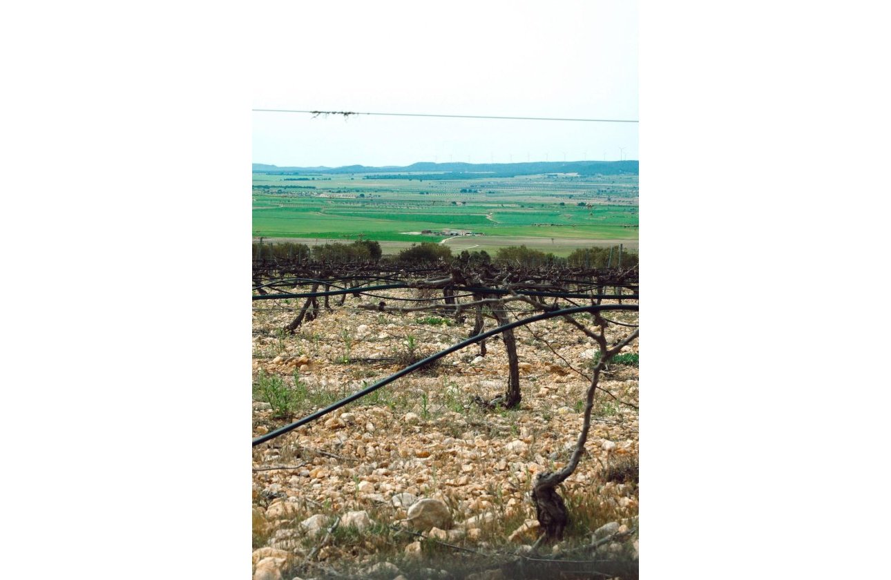 Obra nueva - Villa - Yecla