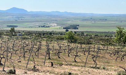 Obra nueva - Villa - Yecla