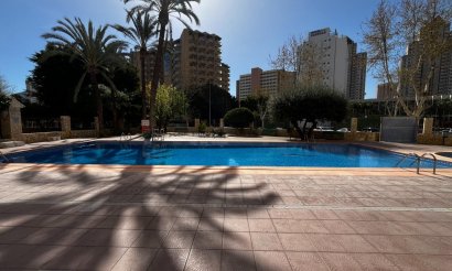 Reventa - Apartamento / piso - Benidorm - Levante