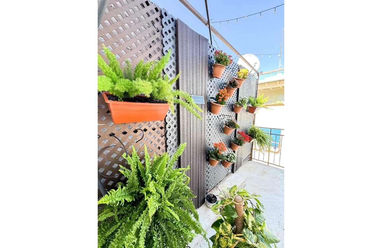 Reventa - Apartamento / piso - Benidorm - Levante