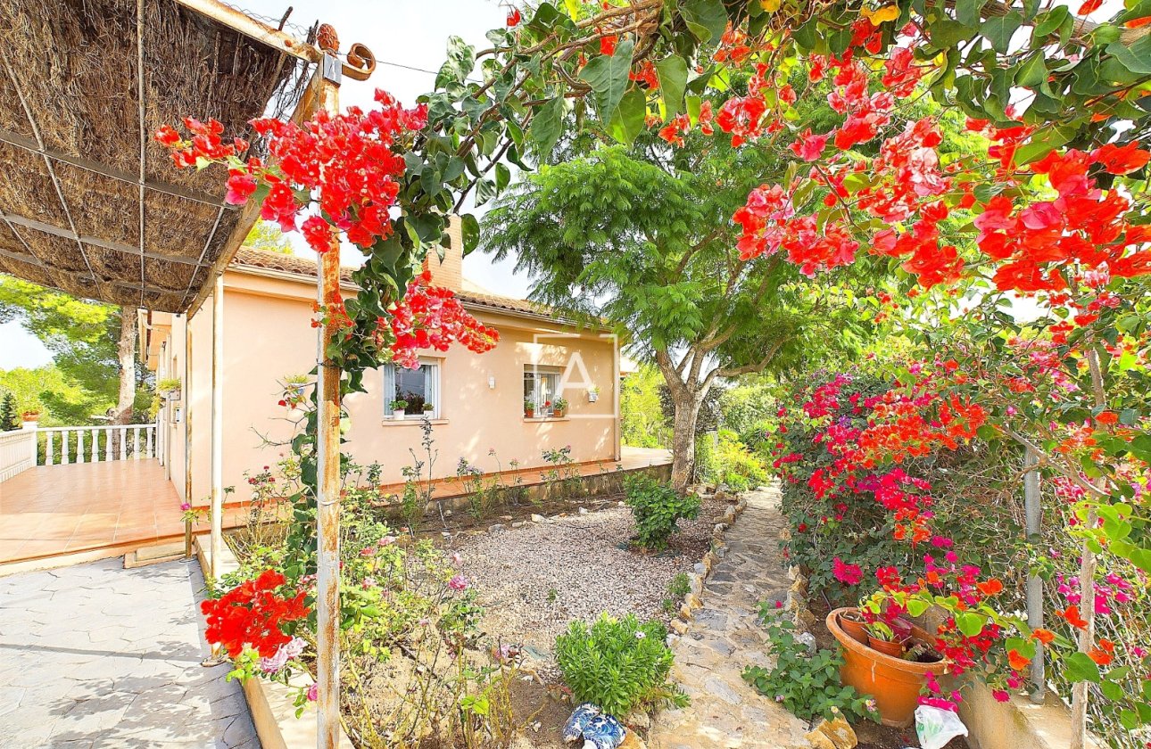 Resale - Villa - Pinar de Campoverde