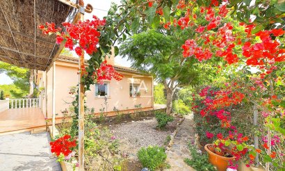 Resale - Villa - Pinar de Campoverde