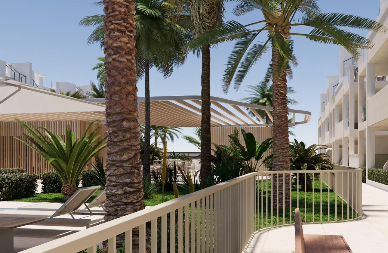 Obra nueva - Apartamento / piso - Torre Pacheco - San Cayetano