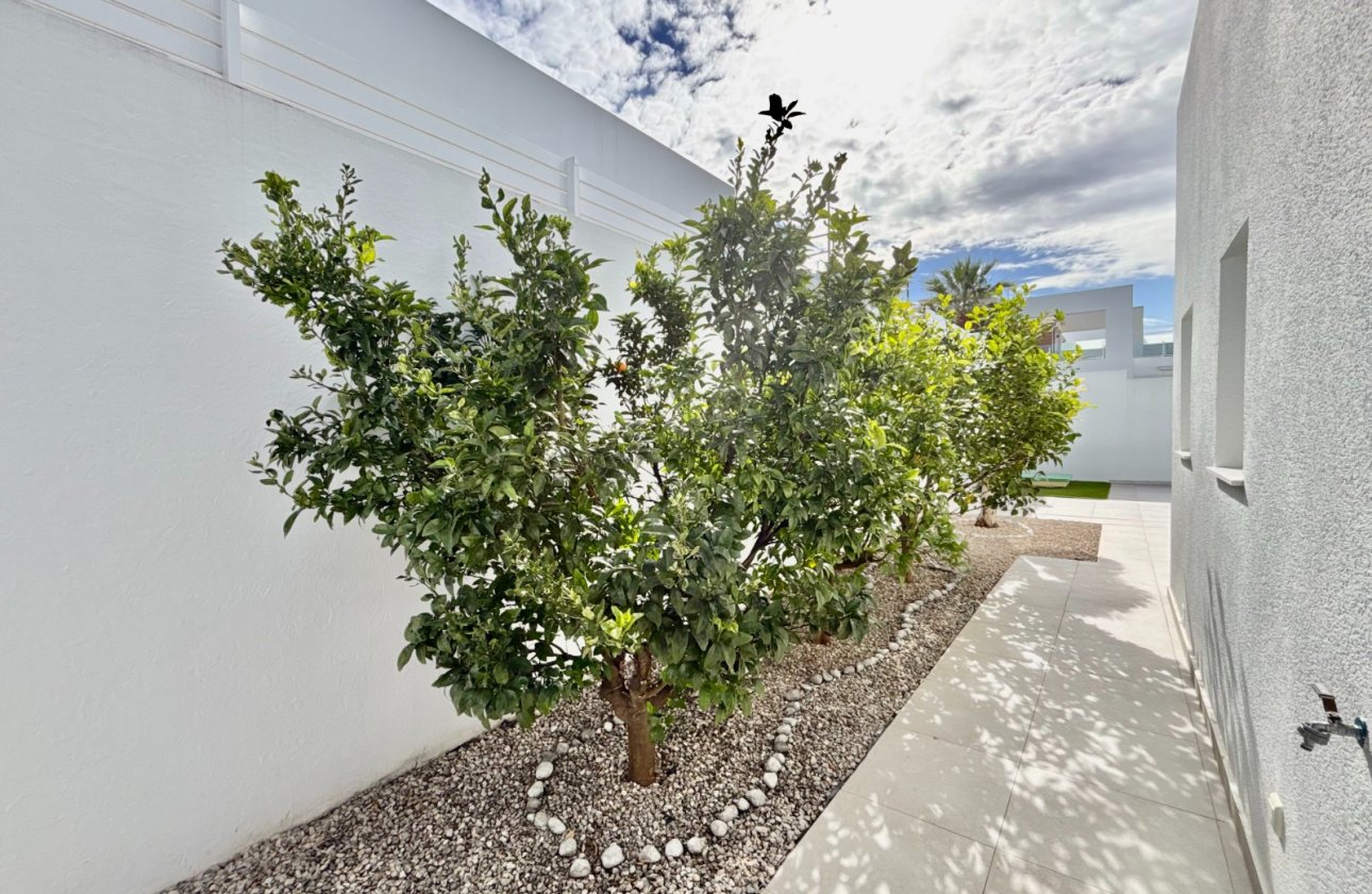 Resale - Villa - Benijofar - Benijofar - Village