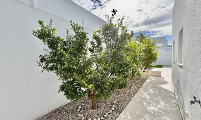 Resale - Villa - Benijofar - Benijofar - Village