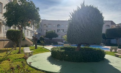 Revente - Appartement - Torrevieja - Playa del Acequión