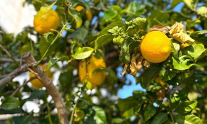 Reventa - Villa - Orihuela Costa - Villamartín