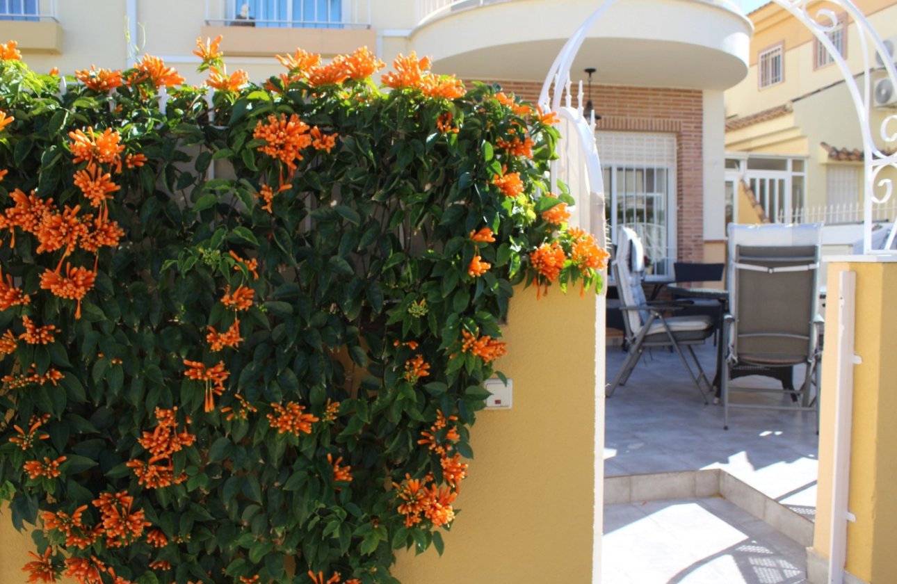 Reventa - Adosado - Orihuela Costa - PAU 8