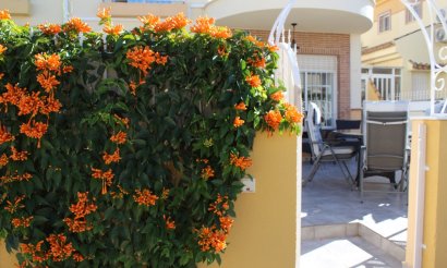 Reventa - Adosado - Orihuela Costa - PAU 8