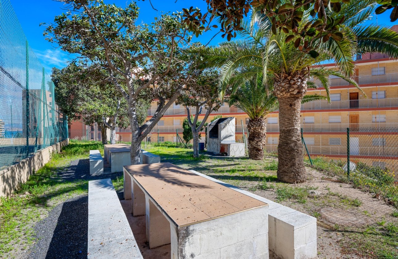 Reventa - Apartamento / piso - Arenales del Sol - Segunda linea playa