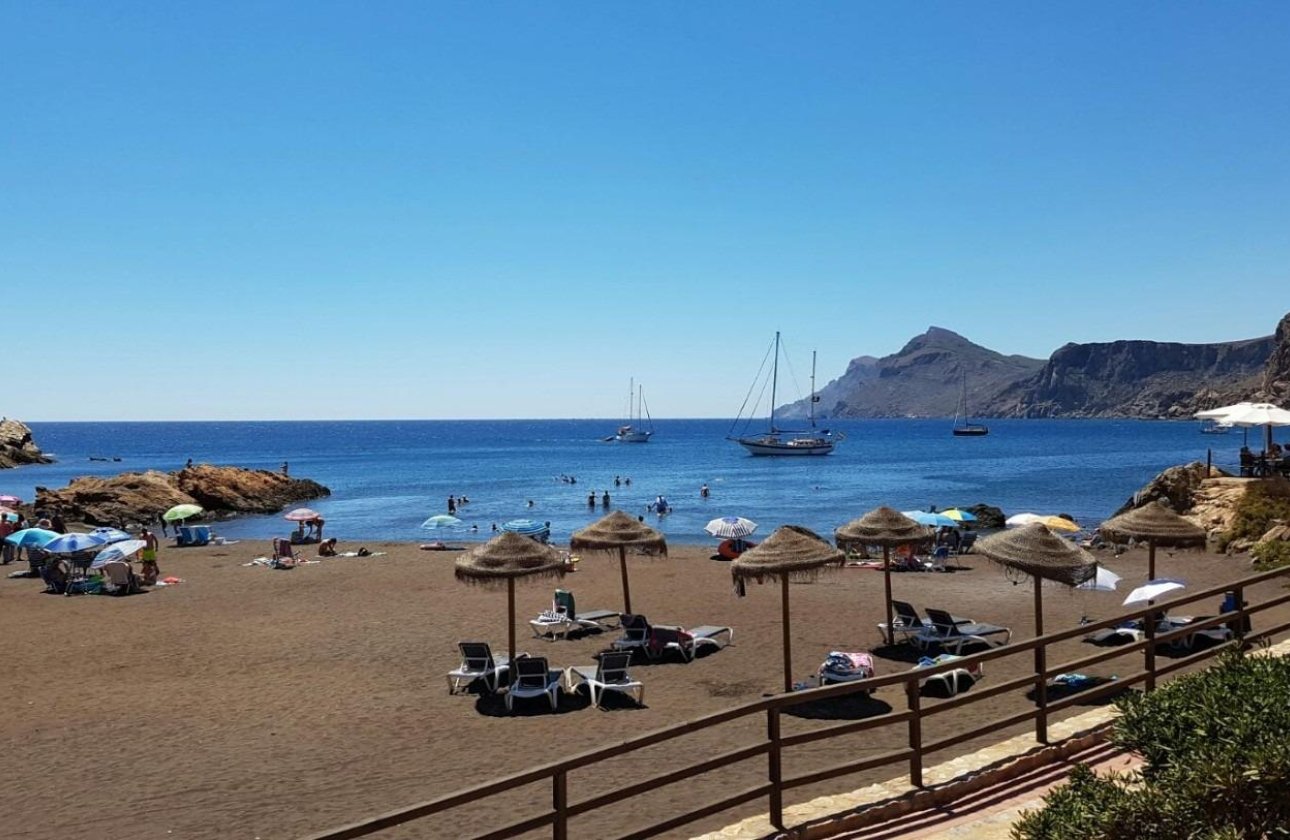 Nouvelle construction - Maison de ville - La Union - centro