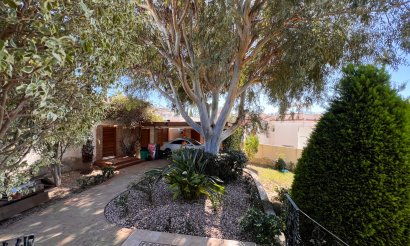 Revente - Villa - Ciudad Quesada - Cuidad Quesada