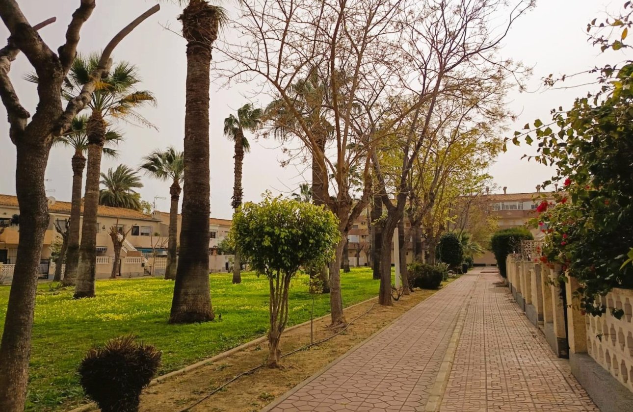 Revente - Appartement - Orihuela Costa - La Regia