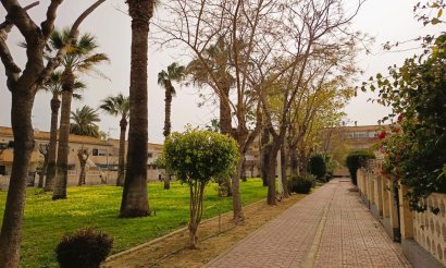 Revente - Appartement - Orihuela Costa - La Regia