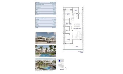 New Build - Apartment / flat - Pilar de la Horadada - pueblo