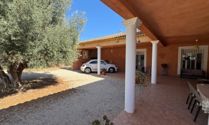 Resale - Villa - Albatera - BARRANCO SAN CAYETANO