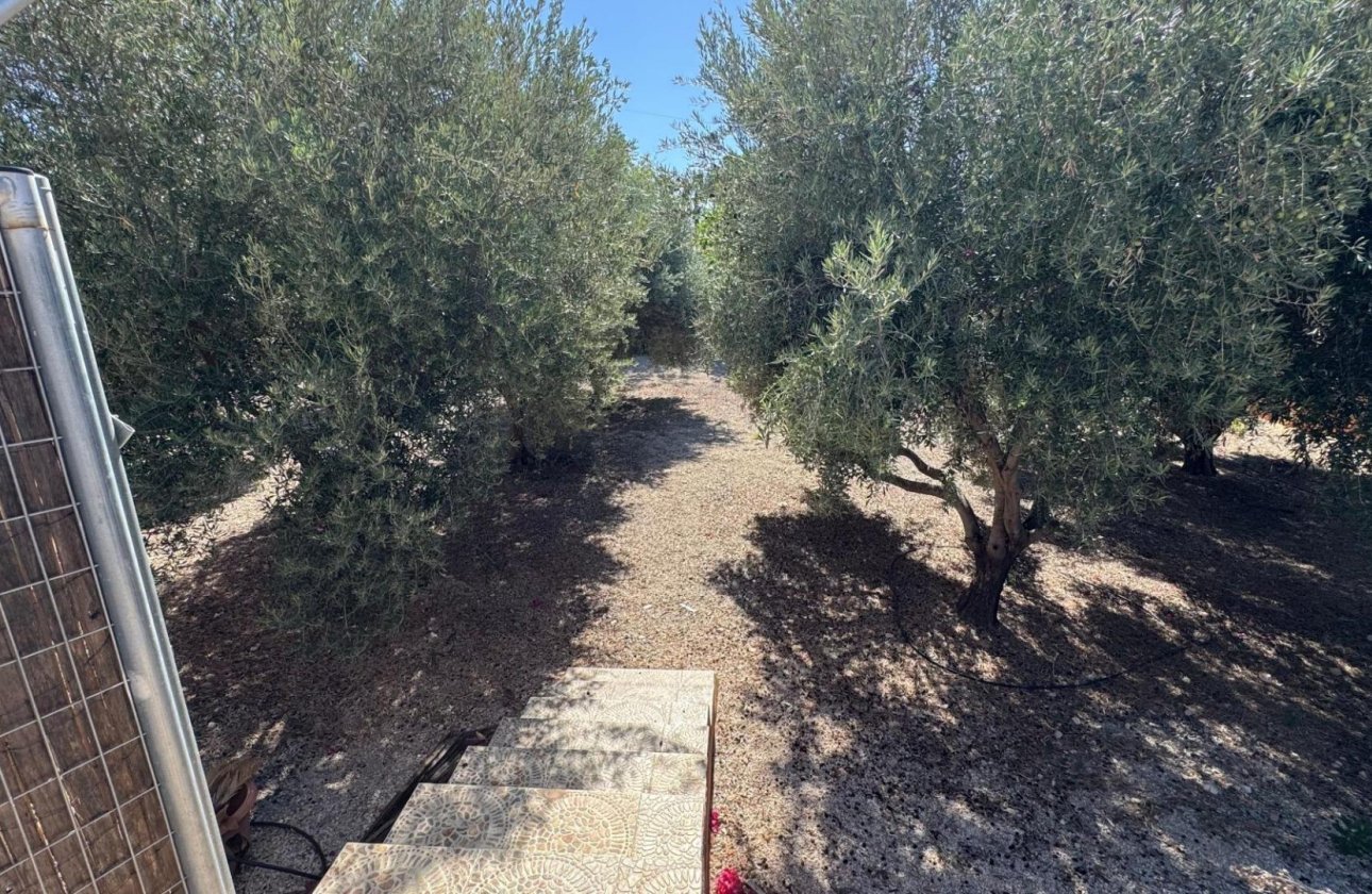 Resale - Villa - Albatera - BARRANCO SAN CAYETANO