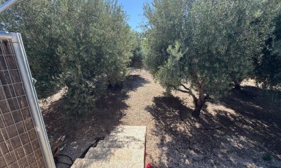 Resale - Villa - Albatera - BARRANCO SAN CAYETANO