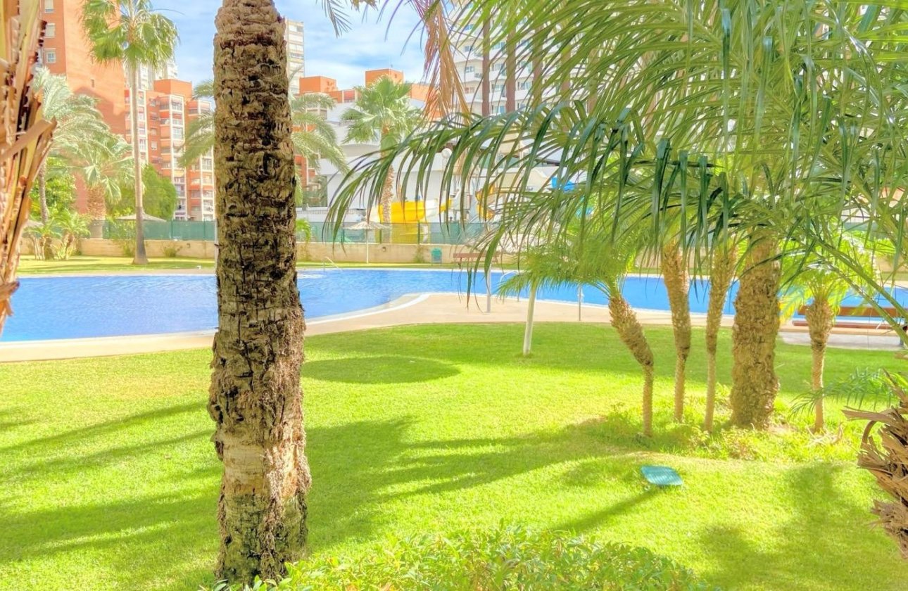 Resale - Apartment / flat - Benidorm - Rincón de Loix