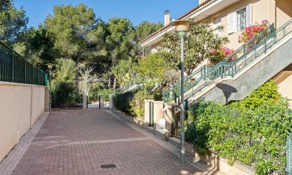 Reventa - Apartamento / piso - Gran Alacant - Novamar