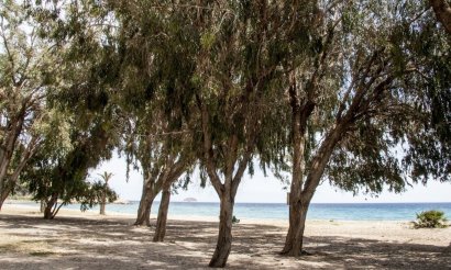 New Build - Apartment / flat - Villajoyosa - Playa Les Torres