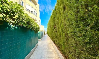 Resale - Apartment / flat - Torrevieja - Nueva Torrevieja - Aguas Nuevas