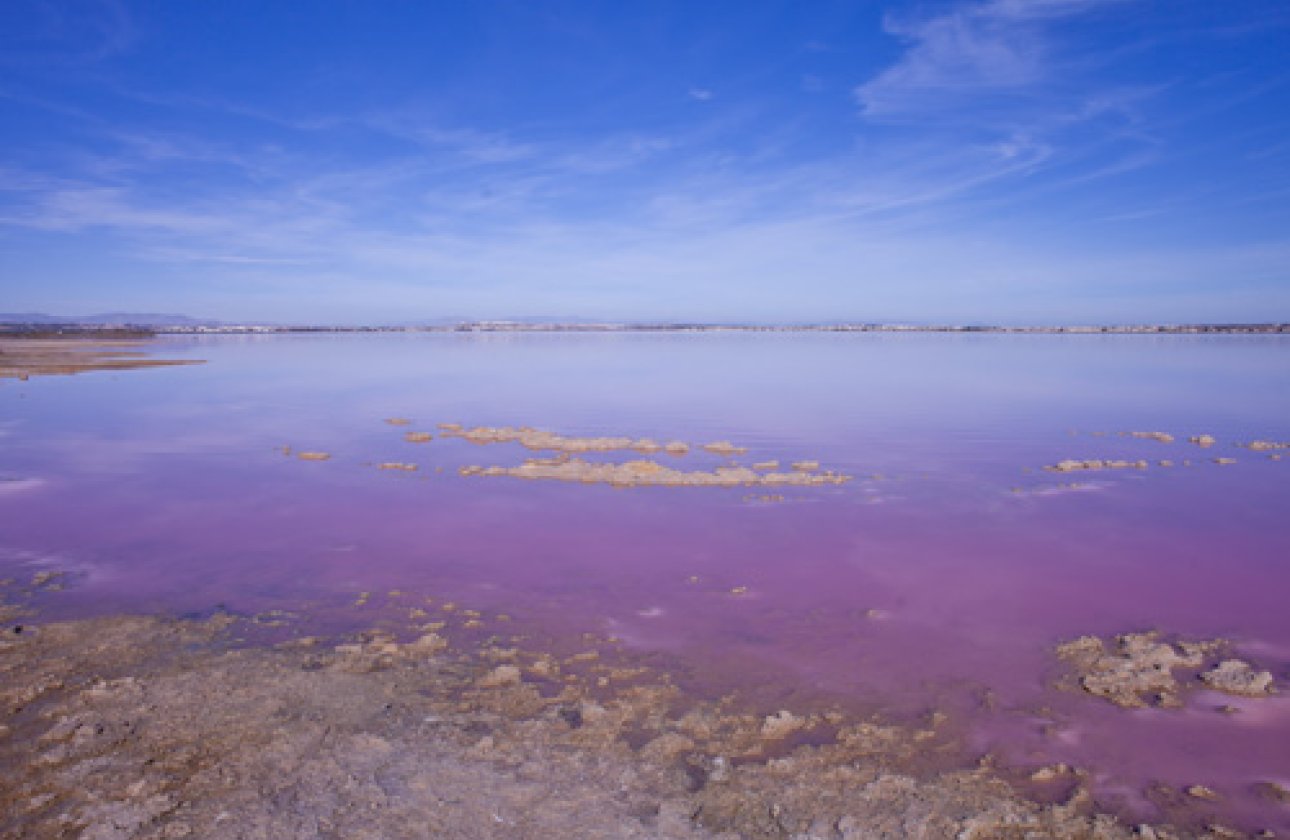 Reventa - Villa - Los Altos