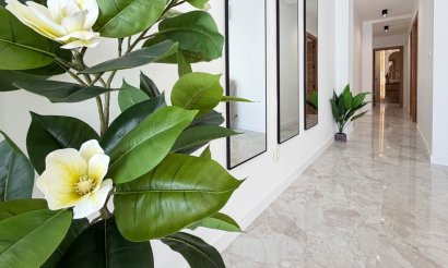 Resale - Penthouse - Torrevieja - Playa del Cura