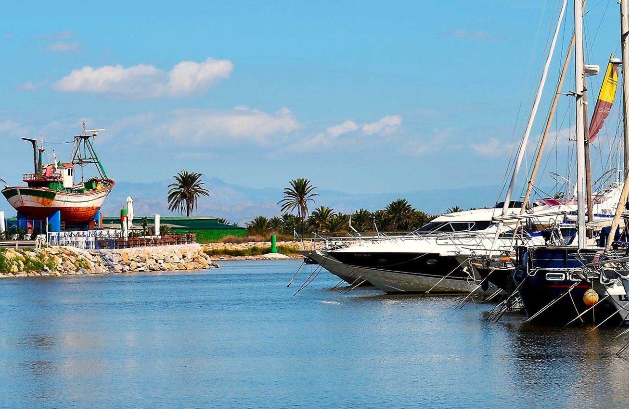 Obra nueva - Apartamento / piso - Guardamar del Segura - Avda del Puerto